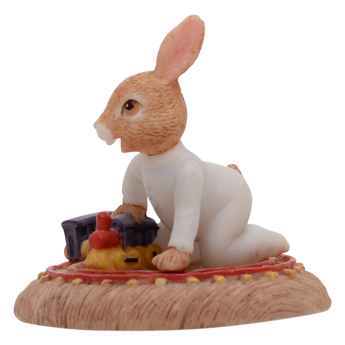 A Little Bunny at Play