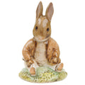 Benjamin Bunny Sat on a Bank