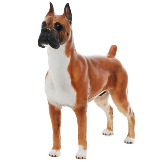 Boxer Warlord of Mazelaine Puppy HN2643