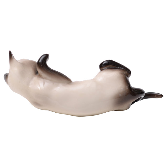 Cat Beswick