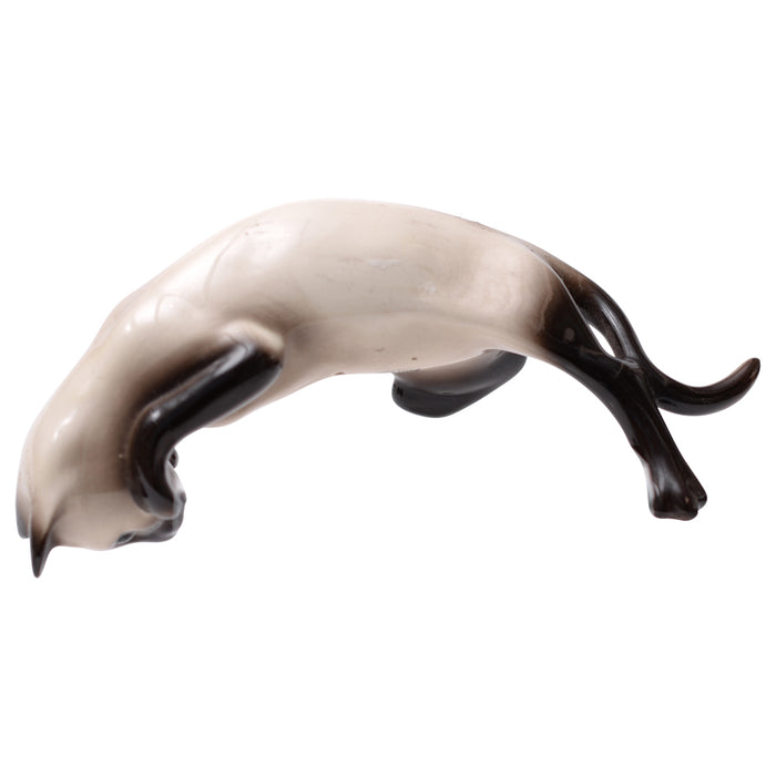 Cat Beswick