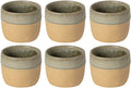 Costa Nova Bekers Arenito Sage Green 360 ml - 6 stuks