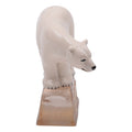 FOXS-POLAR-BEAR