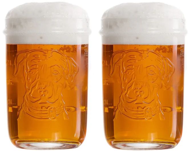Lagunitas Bierglazen 300 ml - 2 stuks