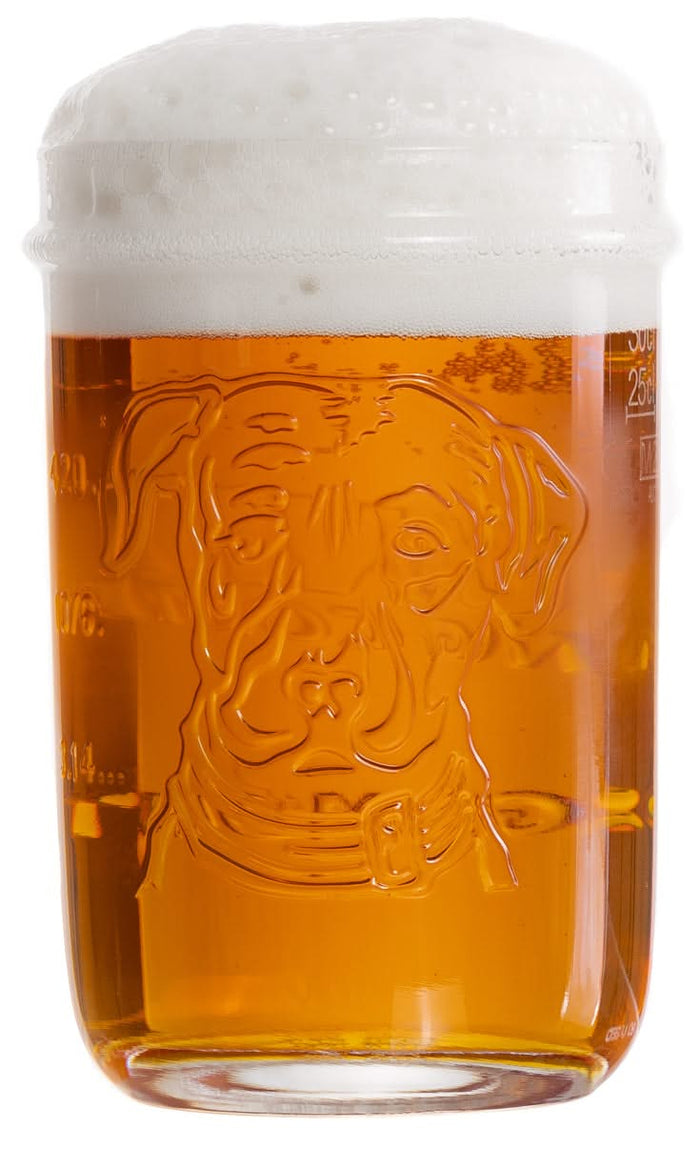 Lagunitas Bierglazen 300 ml - 2 stuks
