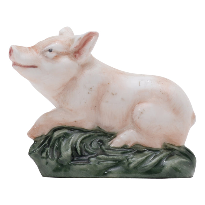 Piglet lying on belly