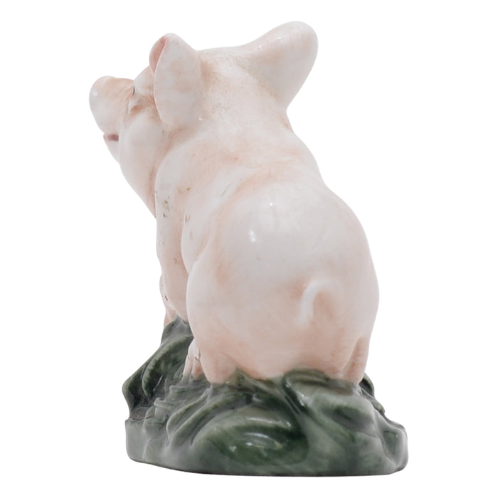 Piglet lying on belly