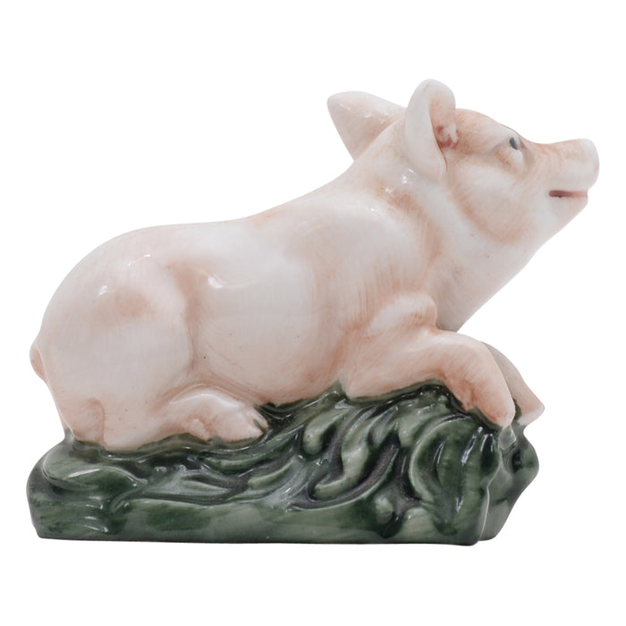 Piglet lying on belly
