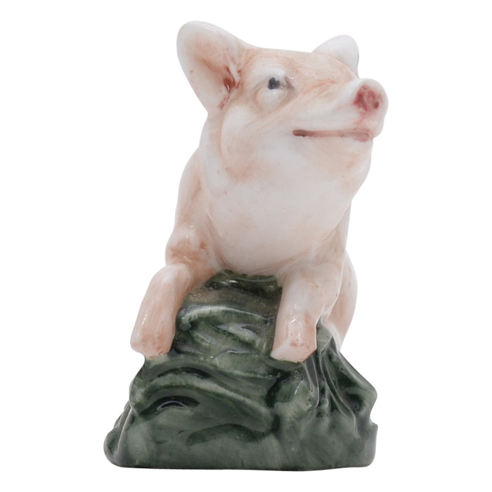 Piglet lying on belly