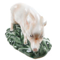 Piglet