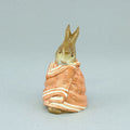 Poorly Peter Rabbit