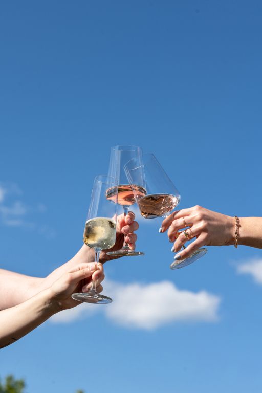 Schott Zwiesel Wijnglazenset MioVino 12-delige - Rode wijnglazen, Witte wijnglazen en Champagneglazen